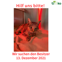 thumb_Fundtiere FB thumb_Fundtiere FB